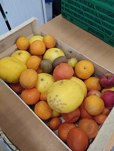 photo epicerie sccuc fruits grande