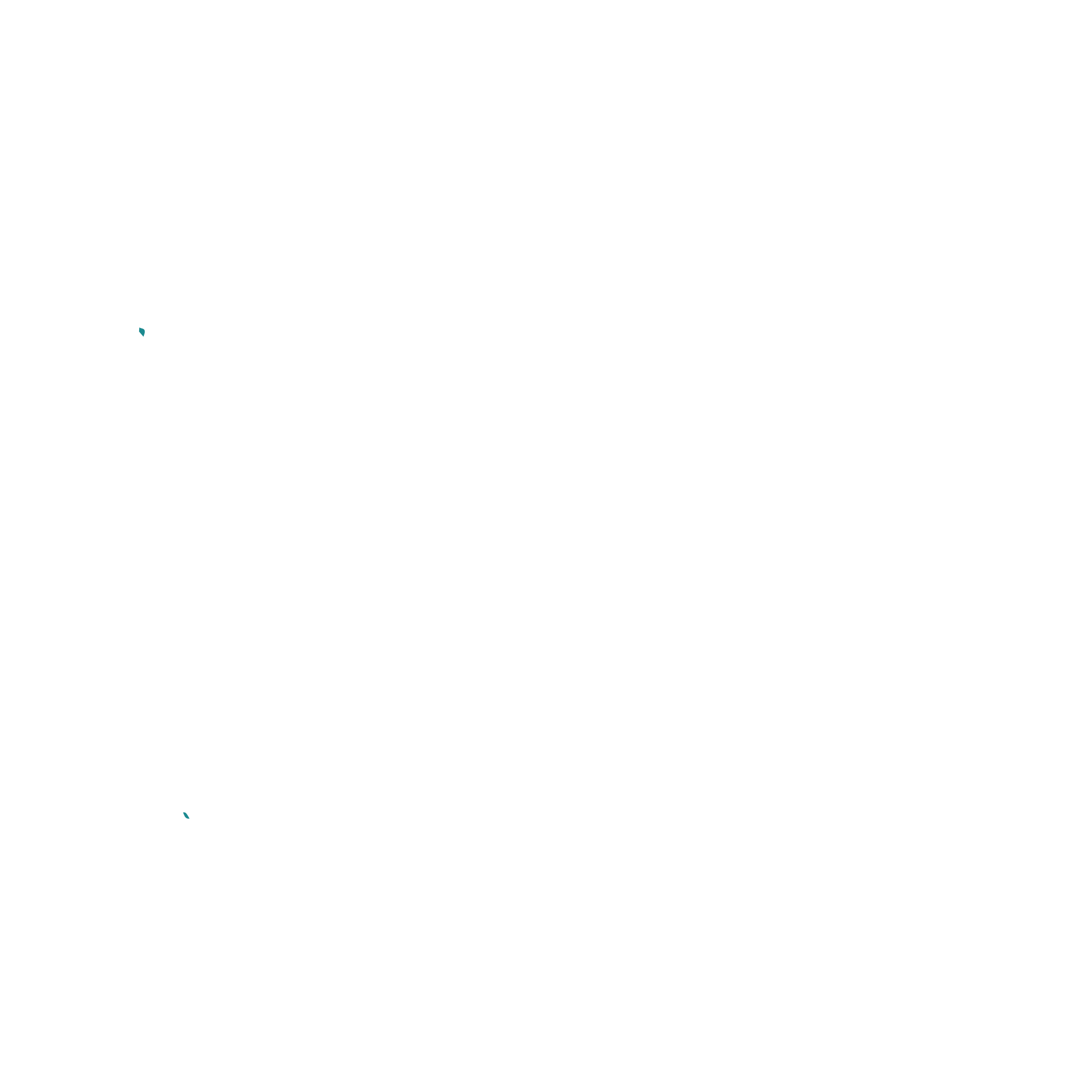 logo ca